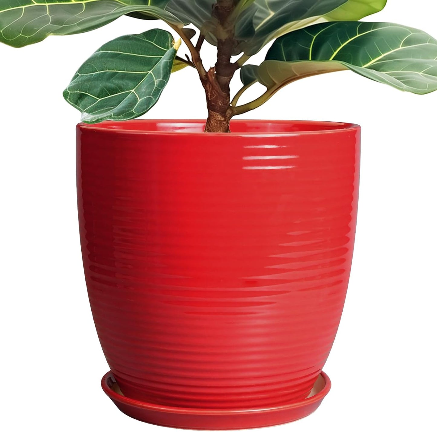 Ceramic Pots for Plants - 6 Inch Plant Pot with Drainage Hole and Saucer, Round Planters for Indoor Outdoor, Flower Pots, Modern Planter, Home Office Room Decor, Gifts for Plant Lovers, White