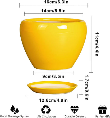 Ceramic Modern Glaze Succulent Planter Pot with Drainage Hole and Saucer 6 Inch Round Flower Plant Pot for Indoor Outdoor Herb Snake Plants