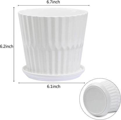 sietpoek Plant Pots - 5.5 Inch Cylinder Ceramic Planters with Connected Saucer, Pots for Succuelnt and Little Snake Plants, Set of 4, White