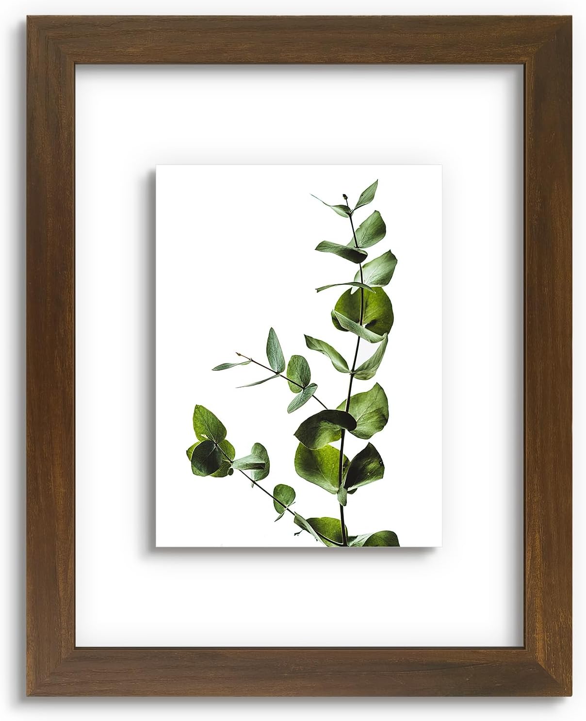 Golden State Art, 11X14 Floating Picture Frame, Black Wood Frame Display Any Size Photo Up To 11X14, Pressed Flower Frames with Hanging Hardware - Horizontal And Vertical Formats for Wall