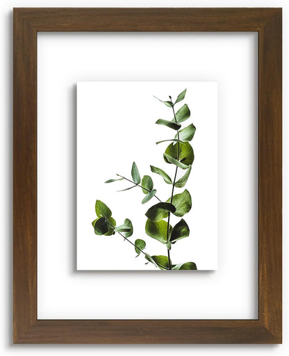 Golden State Art, 11X14 Floating Picture Frame, Black Wood Frame Display Any Size Photo Up To 11X14, Pressed Flower Frames with Hanging Hardware - Horizontal And Vertical Formats for Wall
