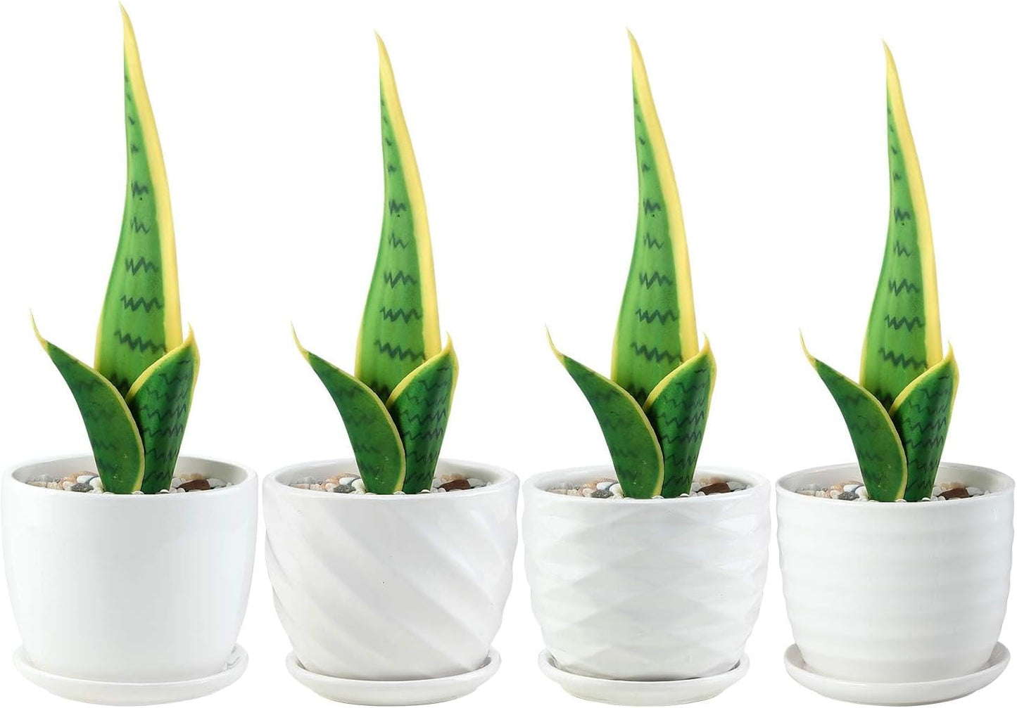 sietpoek Plant Pots - 5.5 Inch Cylinder Ceramic Planters with Connected Saucer, Pots for Succuelnt and Little Snake Plants, Set of 4, White