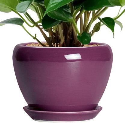 Ceramic Modern Glaze Succulent Planter Pot with Drainage Hole and Saucer 6 Inch Round Flower Plant Pot for Indoor Outdoor Herb Snake Plants