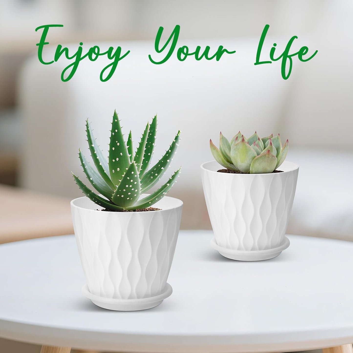 YNNICO 6 inch Plant Pots, 5 Pack Flower Pots Outdoor Indoor, Planters with Drainage Holes and Tray Saucers（Multicolor）