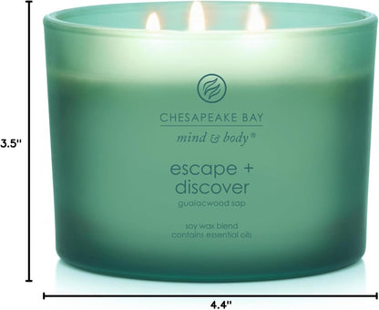 Chesapeake Bay Candle PT40886 Scented Candle Awaken + Invigorate (Lemongrass Eucalyptus) Medium Green Home Décor