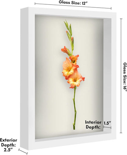 Americanflat 12x16 Shadow Box Frame with Polished Plexiglass - Silhouette Collection - Large Shadow Box Display Case for Tabletop and Wall Display - Black with Soft Felt Back