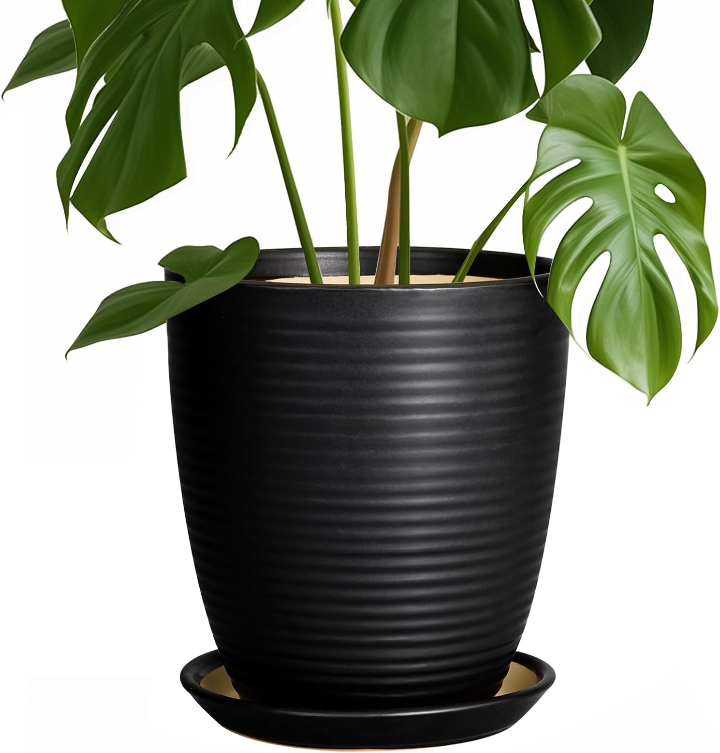 Ceramic Pots for Plants - 6 Inch Plant Pot with Drainage Hole and Saucer, Round Planters for Indoor Outdoor, Flower Pots, Modern Planter, Home Office Room Decor, Gifts for Plant Lovers, White