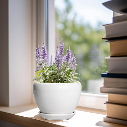 Ceramic Modern Glaze Succulent Planter Pot with Drainage Hole and Saucer 6 Inch Round Flower Plant Pot for Indoor Outdoor Herb Snake Plants