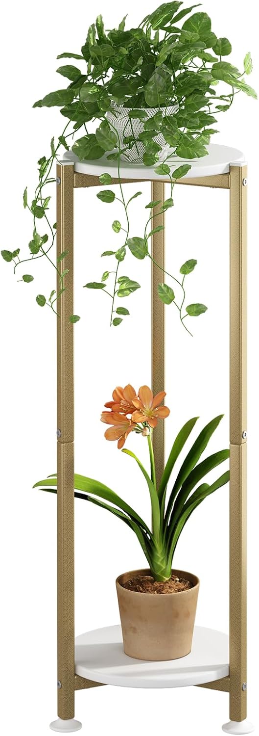 Plant Stand Indoor Corner Tall 2 Tier Metal Modern Flower Storage Plant Shelf Holder for Living Room Balcony Garden,Black (2 Tier-Black Round)