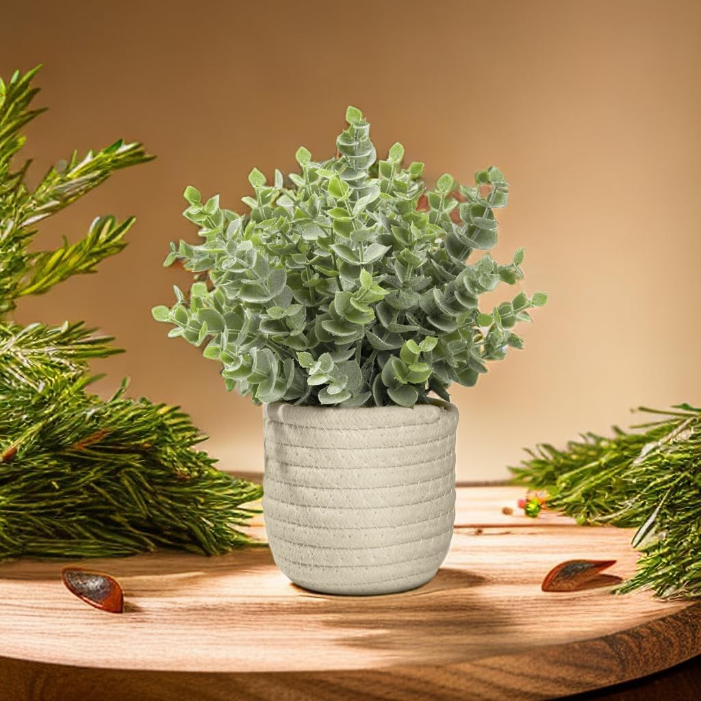 Hopewood Faux Plants, Small Fake Plant for Bathroom, Decorative Artificial Plants for Farmhouse Desk Shelf Decor with A Weave Basket (9.8inch)