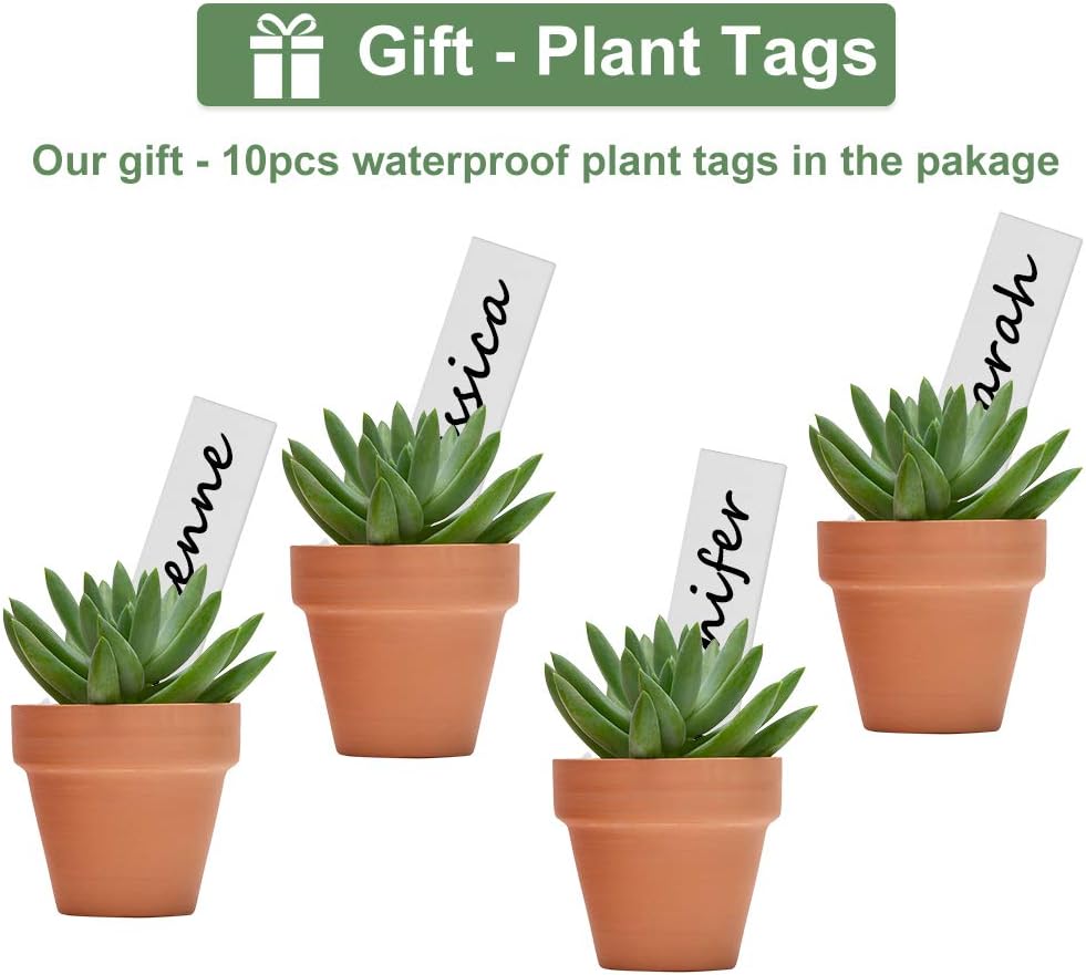 32pcs Small Mini 2" Terracotta Pot Clay Ceramic Pottery Planter, Cactus Flower Nursery Terra Cotta Pots, with Drainage Hole, for Indoor/Outdoor Succulent Plants, Crafts, Wedding Favor