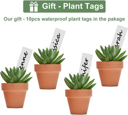 32pcs Small Mini 2" Terracotta Pot Clay Ceramic Pottery Planter, Cactus Flower Nursery Terra Cotta Pots, with Drainage Hole, for Indoor/Outdoor Succulent Plants, Crafts, Wedding Favor