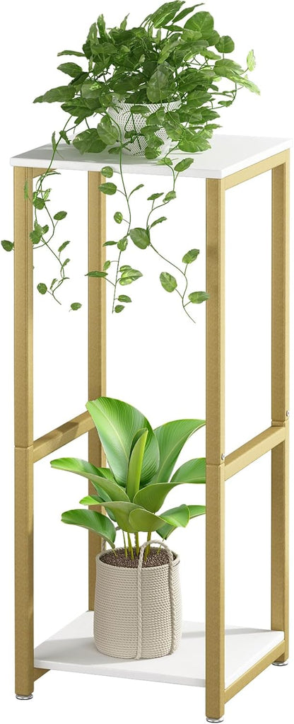 Plant Stand Indoor Corner Tall 2 Tier Metal Modern Flower Storage Plant Shelf Holder for Living Room Balcony Garden,Black (2 Tier-Black Round)