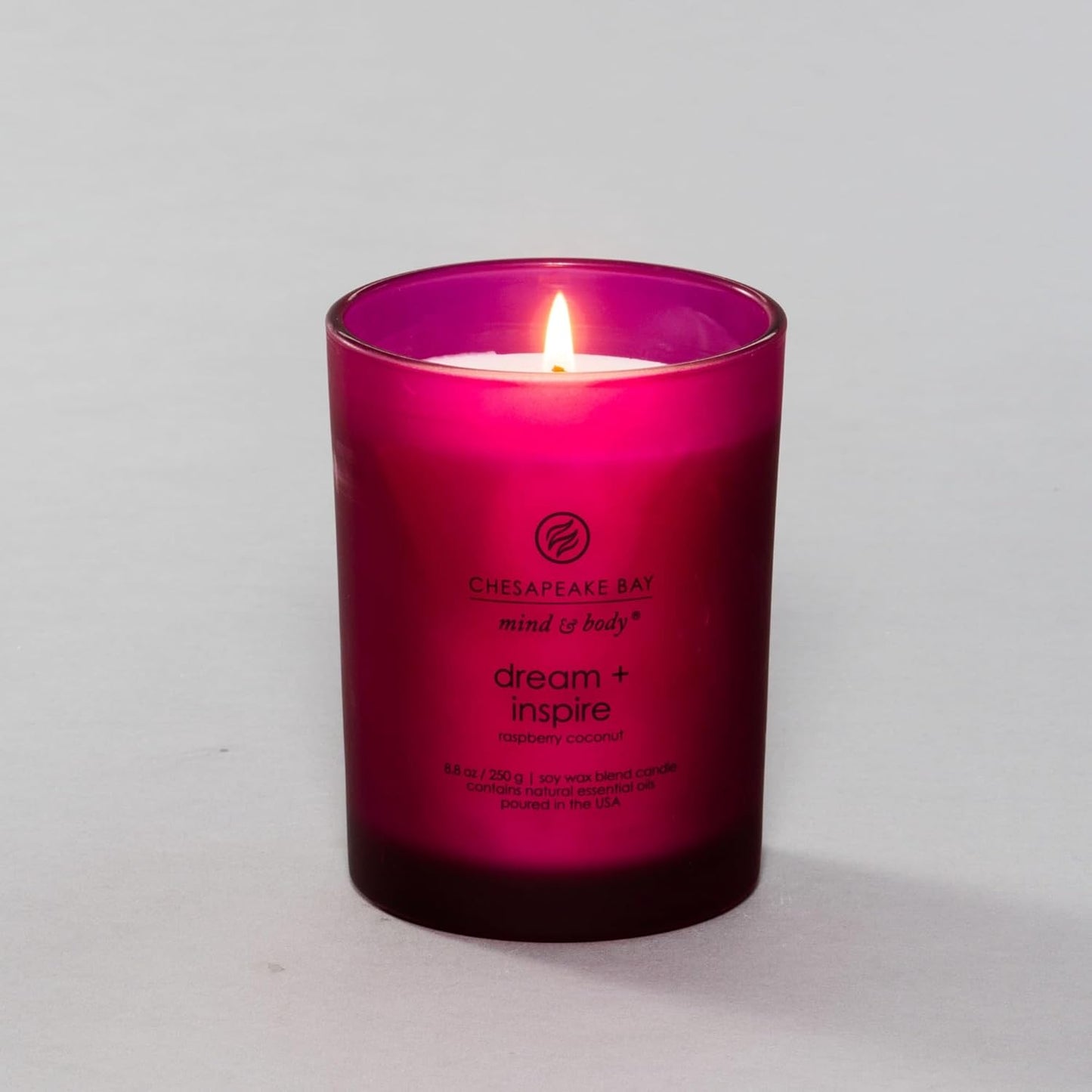 Chesapeake Bay Candle PT40886 Scented Candle Awaken + Invigorate (Lemongrass Eucalyptus) Medium Green Home Décor