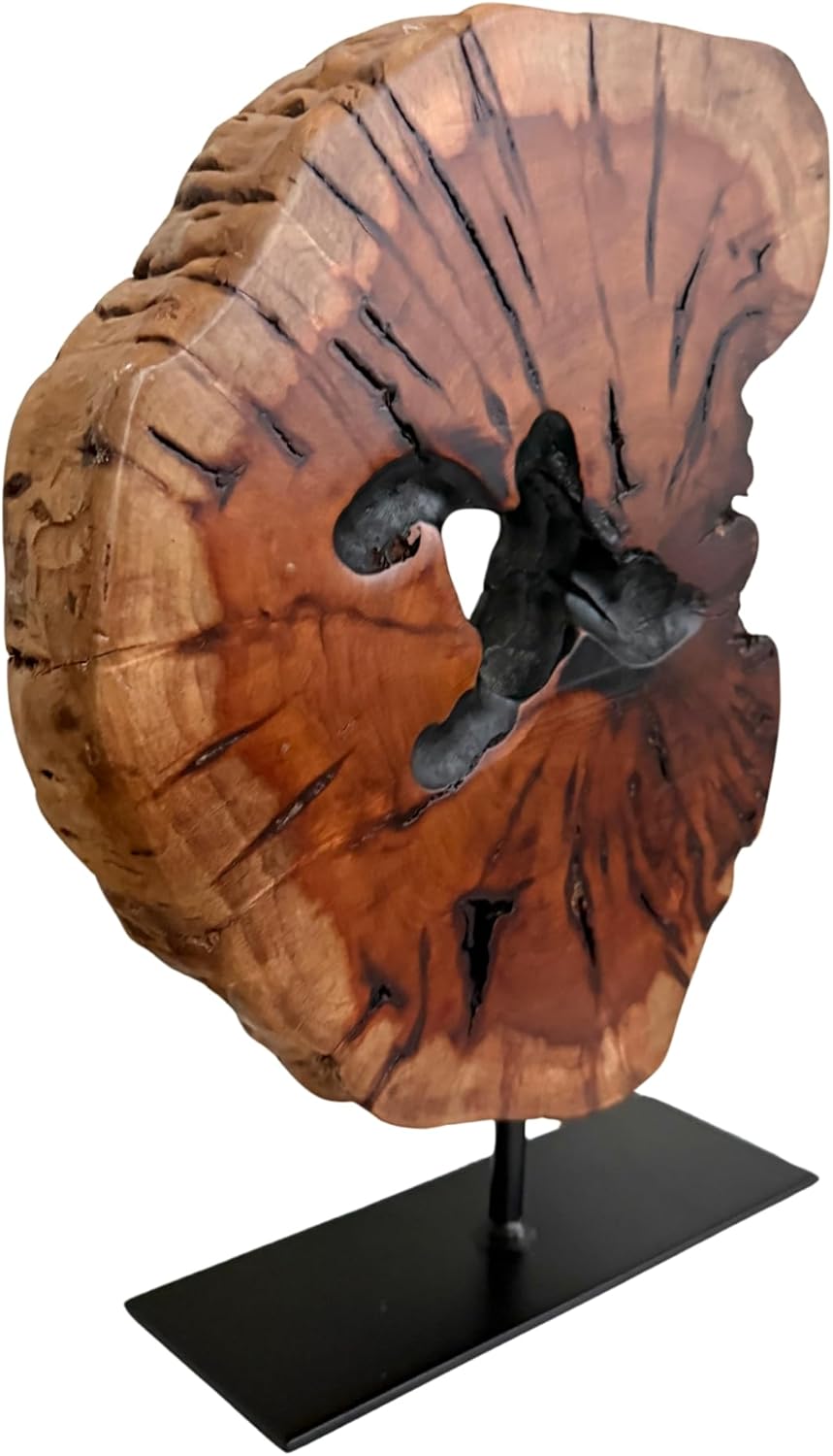 Irregular Handcarved Root Wood Sculpture, Wood Tabletop Abstract Standing Sculpture for Home Decor Natural Edge Tabletop Statue Tree Stump - Small (W7.75in x H11in)