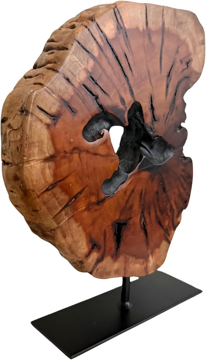 Irregular Handcarved Root Wood Sculpture, Wood Tabletop Abstract Standing Sculpture for Home Decor Natural Edge Tabletop Statue Tree Stump - Small (W7.75in x H11in)