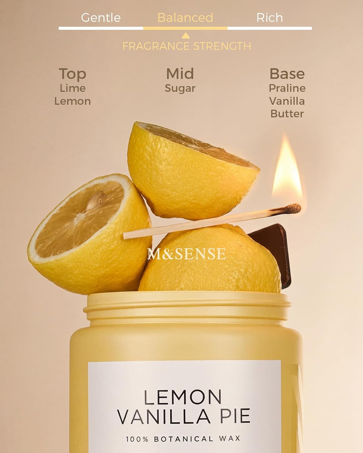 M&SENSE Eucalyptus & Mint Scented Jar Candle, Large 19.4oz Natural Soy Wax, 110-Hour Long Lasting Non-Toxic Clean Burning, Fresh Smelling Home Aromatherapy for Spa Stress Relief, Gifts for Men Women