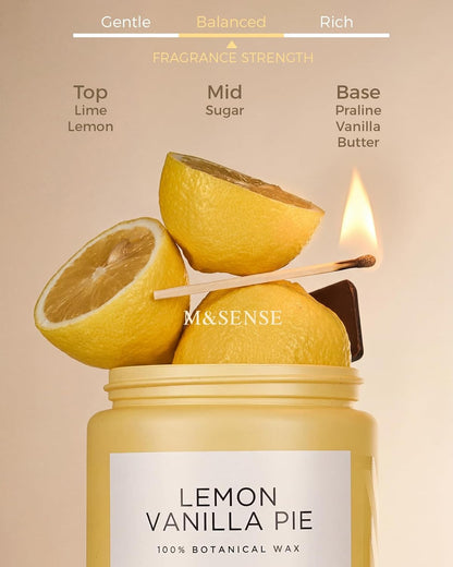 M&SENSE Eucalyptus & Mint Scented Jar Candle, Large 19.4oz Natural Soy Wax, 110-Hour Long Lasting Non-Toxic Clean Burning, Fresh Smelling Home Aromatherapy for Spa Stress Relief, Gifts for Men Women