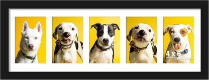 DUENPY 14x26 Collage Picture Frame 4x6 Collage Picture Frame Displays Twelve 4x6 inch Photos Available Horizontal Wall Mounting Display and Vertical Black - Colors A