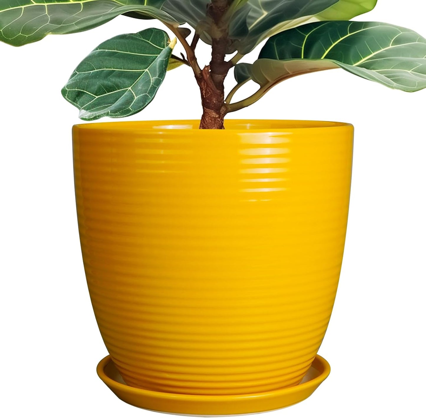 Ceramic Pots for Plants - 6 Inch Plant Pot with Drainage Hole and Saucer, Round Planters for Indoor Outdoor, Flower Pots, Modern Planter, Home Office Room Decor, Gifts for Plant Lovers, White