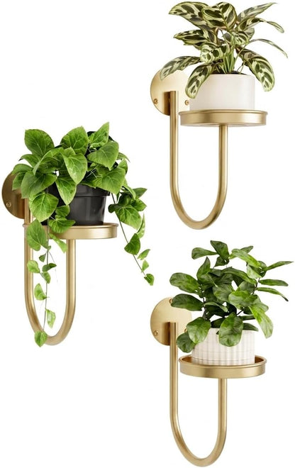 Bamworld Hanging Planters for Indoor Plants Wall Plant Holder Plant Hanger Indoor Wall Planters Window Plant Shelves Hanging Plant Holder Window Plant Hanger Plant Decor Black 3pcs