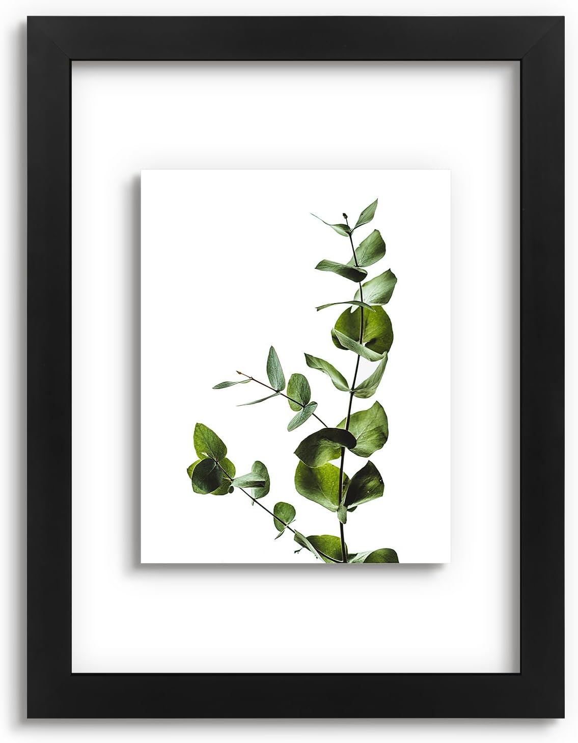 Golden State Art, 11X14 Floating Picture Frame, Black Wood Frame Display Any Size Photo Up To 11X14, Pressed Flower Frames with Hanging Hardware - Horizontal And Vertical Formats for Wall