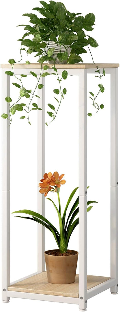 Plant Stand Indoor Corner Tall 2 Tier Metal Modern Flower Storage Plant Shelf Holder for Living Room Balcony Garden,Black (2 Tier-Black Round)