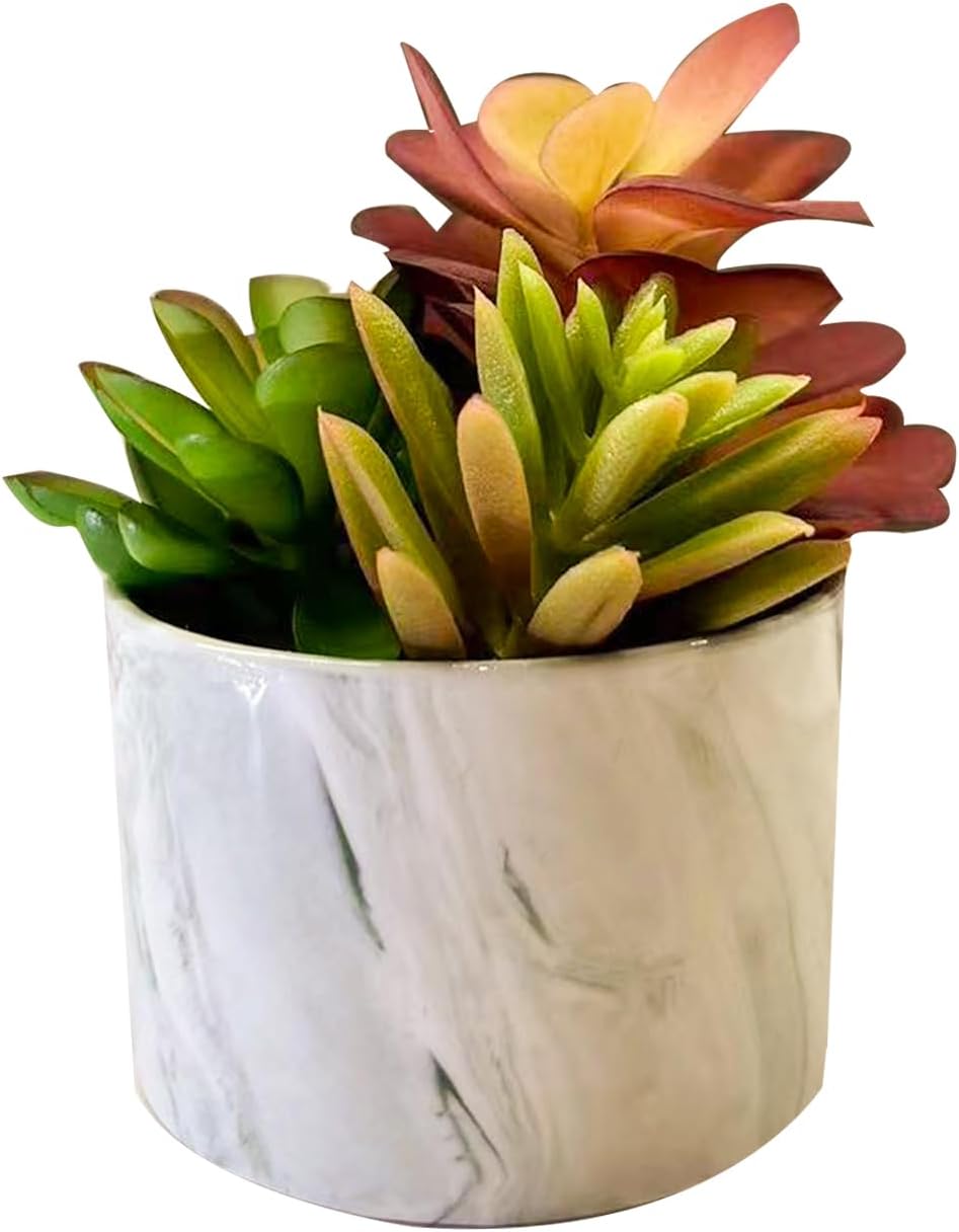 Artificial Plants Succulent Flowers in Ceramic Planter 2 Pack Small Fake Plants Potted for Home Office Desk Decor Farmhouse Living Room Bedroom Shelves Decoration