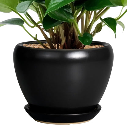 Ceramic Modern Glaze Succulent Planter Pot with Drainage Hole and Saucer 6 Inch Round Flower Plant Pot for Indoor Outdoor Herb Snake Plants