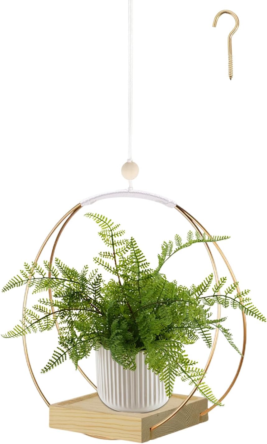 Hanging Planter for Indoor Plants, Black Plant Hanger Indoor with Sturdy Wood Base, Modern Boho Macrame Plant Hanger for 3-5.5 Inch Pot, Hanging Wall Ceiling Window Home Decor (Pots Not Included)