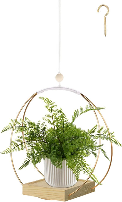 Hanging Planter for Indoor Plants, Black Plant Hanger Indoor with Sturdy Wood Base, Modern Boho Macrame Plant Hanger for 3-5.5 Inch Pot, Hanging Wall Ceiling Window Home Decor (Pots Not Included)
