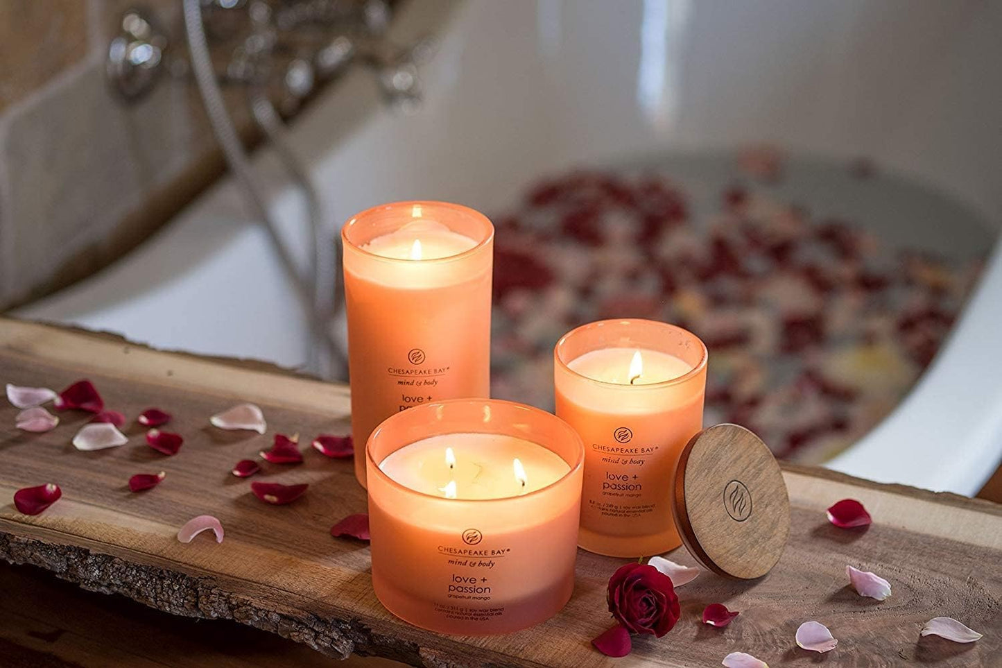 Chesapeake Bay Candle PT40886 Scented Candle Awaken + Invigorate (Lemongrass Eucalyptus) Medium Green Home Décor