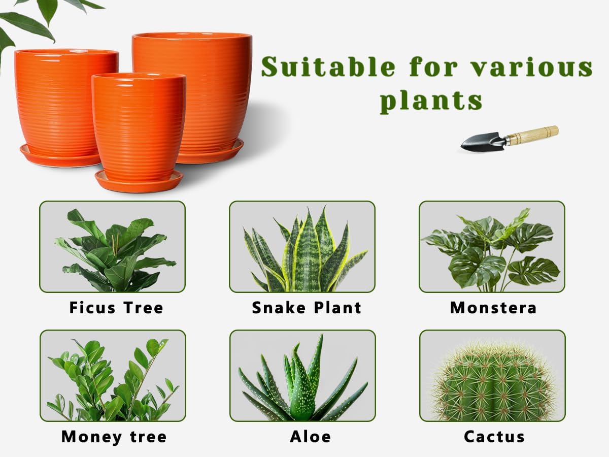 Ceramic Pots for Plants - 6 Inch Plant Pot with Drainage Hole and Saucer, Round Planters for Indoor Outdoor, Flower Pots, Modern Planter, Home Office Room Decor, Gifts for Plant Lovers, White