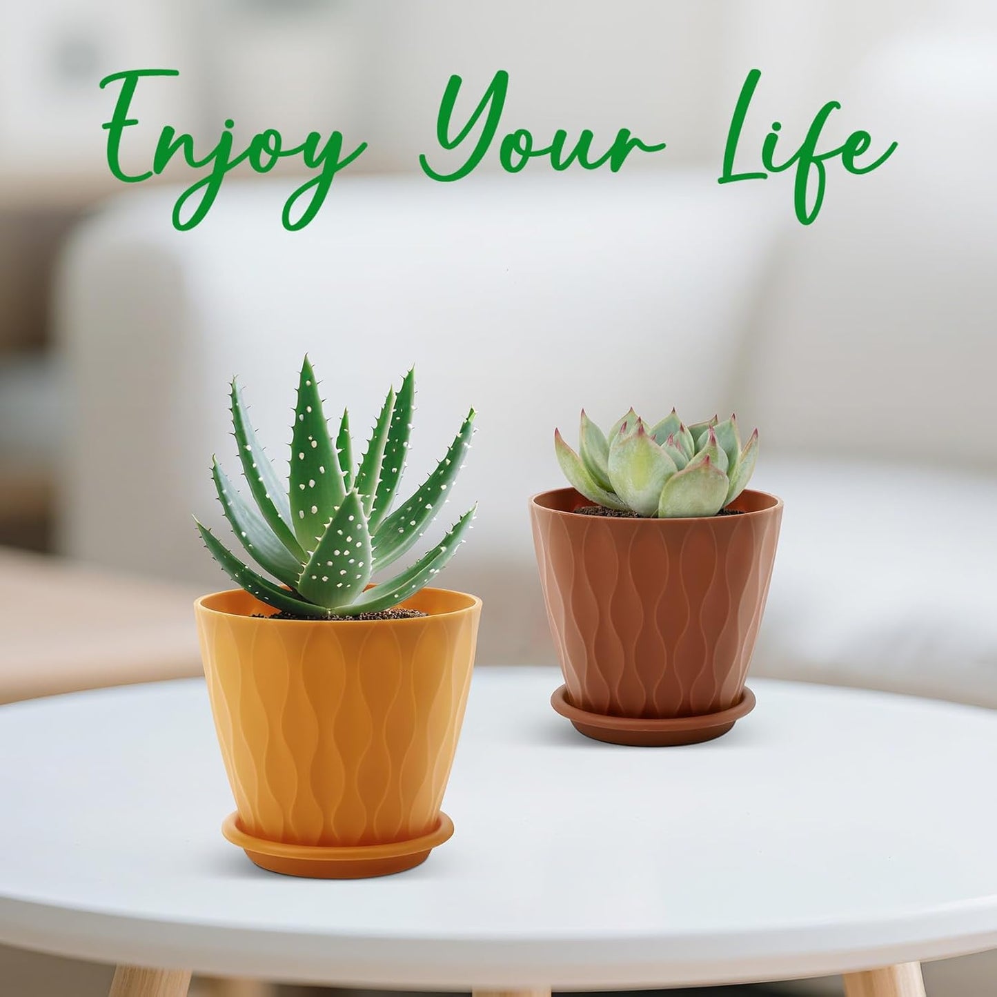 YNNICO 6 inch Plant Pots, 5 Pack Flower Pots Outdoor Indoor, Planters with Drainage Holes and Tray Saucers（Multicolor）