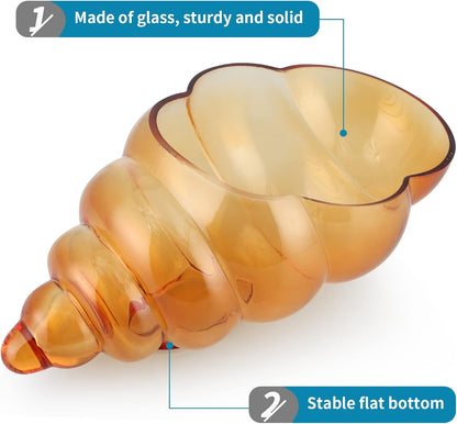 MDLUU Glass Shell Vase, 11-Inch Seashell Potpourri Holder, Large Decorative Conch Bowl for Shell Collection Display, Sea Glass, Air Plant