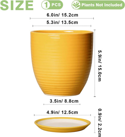 Ceramic Pots for Plants - 6 Inch Plant Pot with Drainage Hole and Saucer, Round Planters for Indoor Outdoor, Flower Pots, Modern Planter, Home Office Room Decor, Gifts for Plant Lovers, White