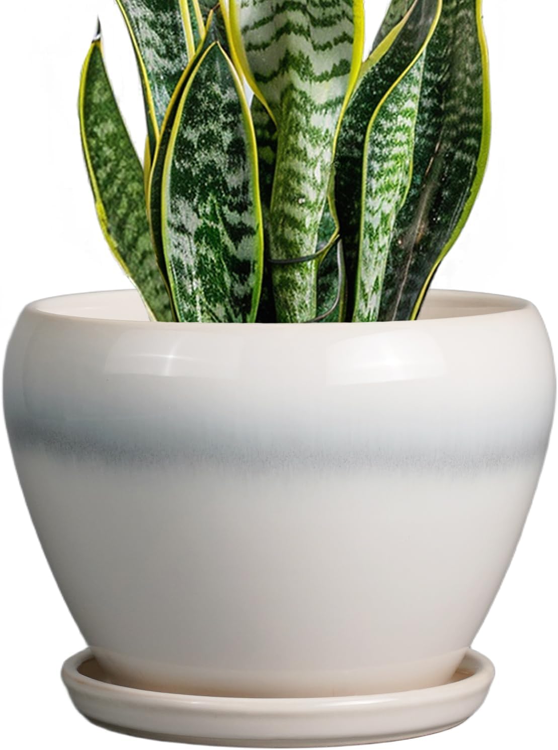 Ceramic Modern Glaze Succulent Planter Pot with Drainage Hole and Saucer 6 Inch Round Flower Plant Pot for Indoor Outdoor Herb Snake Plants