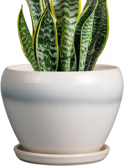 Ceramic Modern Glaze Succulent Planter Pot with Drainage Hole and Saucer 6 Inch Round Flower Plant Pot for Indoor Outdoor Herb Snake Plants