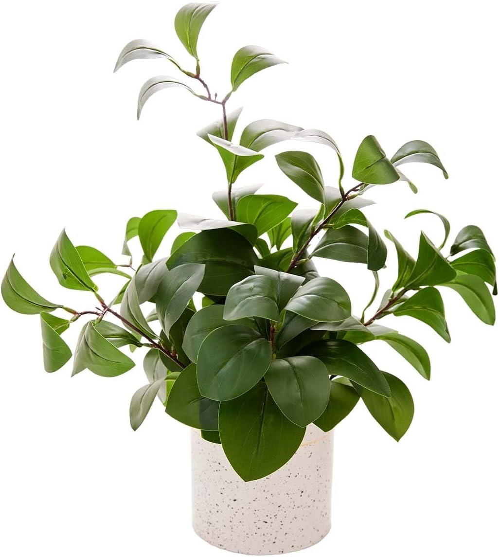 AlphaAcc Artificial Plants Decor Greenery Fake Succulents Indoor Potted Fake Plant with Rustic Black Clay Planter for Home Decor Farmhouse Room Bathroom Bedroom Kitchen Office Table Decor