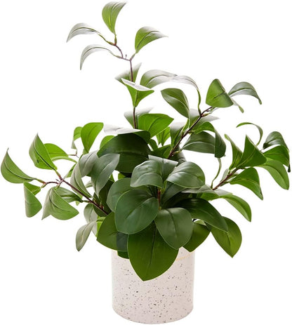 AlphaAcc Artificial Plants Decor Greenery Fake Succulents Indoor Potted Fake Plant with Rustic Black Clay Planter for Home Decor Farmhouse Room Bathroom Bedroom Kitchen Office Table Decor