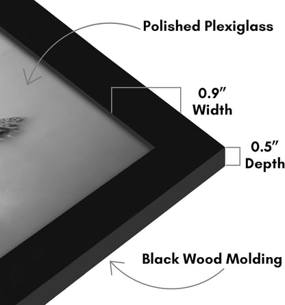 Americanflat 16x20 Picture Frame with Polished Plexiglass - Black Picture Frame - Wide Photo Frames Made of Engineered Wood for Vertical or Horizontal Wall Display - Epic Collection - Black - Colors B