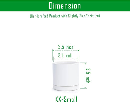 D'vine Dev Set of 2 Plants Pots, 6.5 Inch Ceramic Planter Pot for Plants with Drainage Hole and Saucer, White, 94-V-C-1