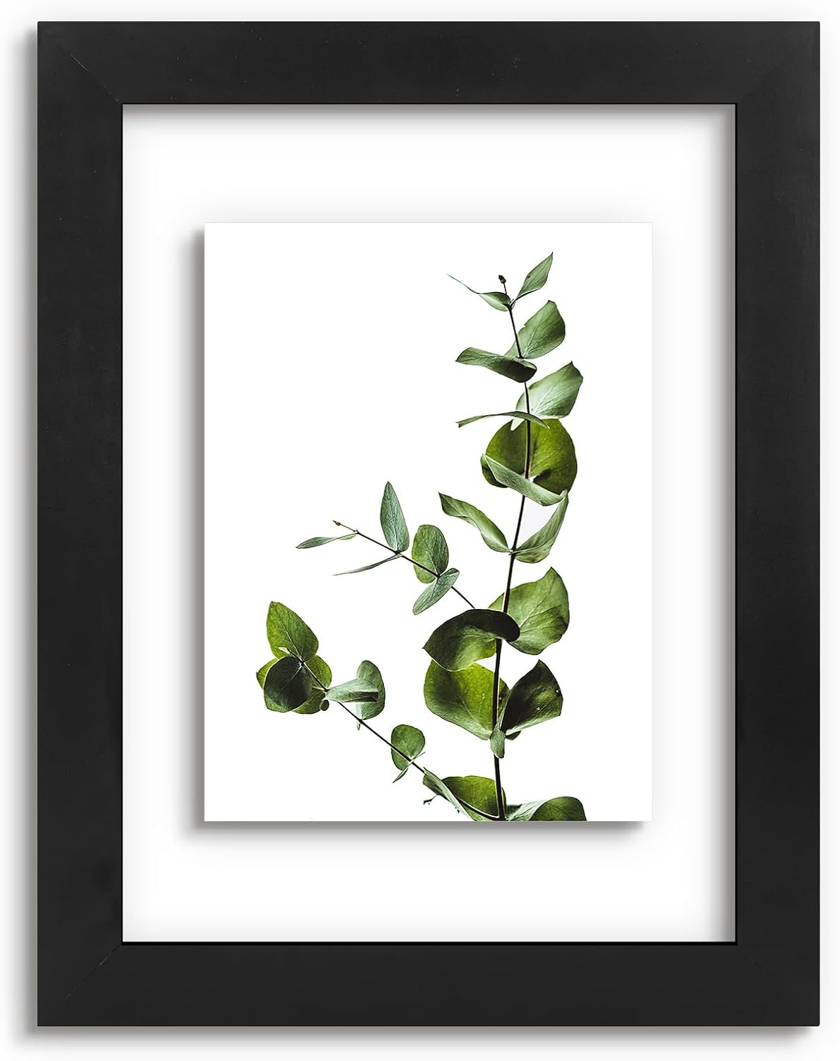 Golden State Art, 11X14 Floating Picture Frame, Black Wood Frame Display Any Size Photo Up To 11X14, Pressed Flower Frames with Hanging Hardware - Horizontal And Vertical Formats for Wall