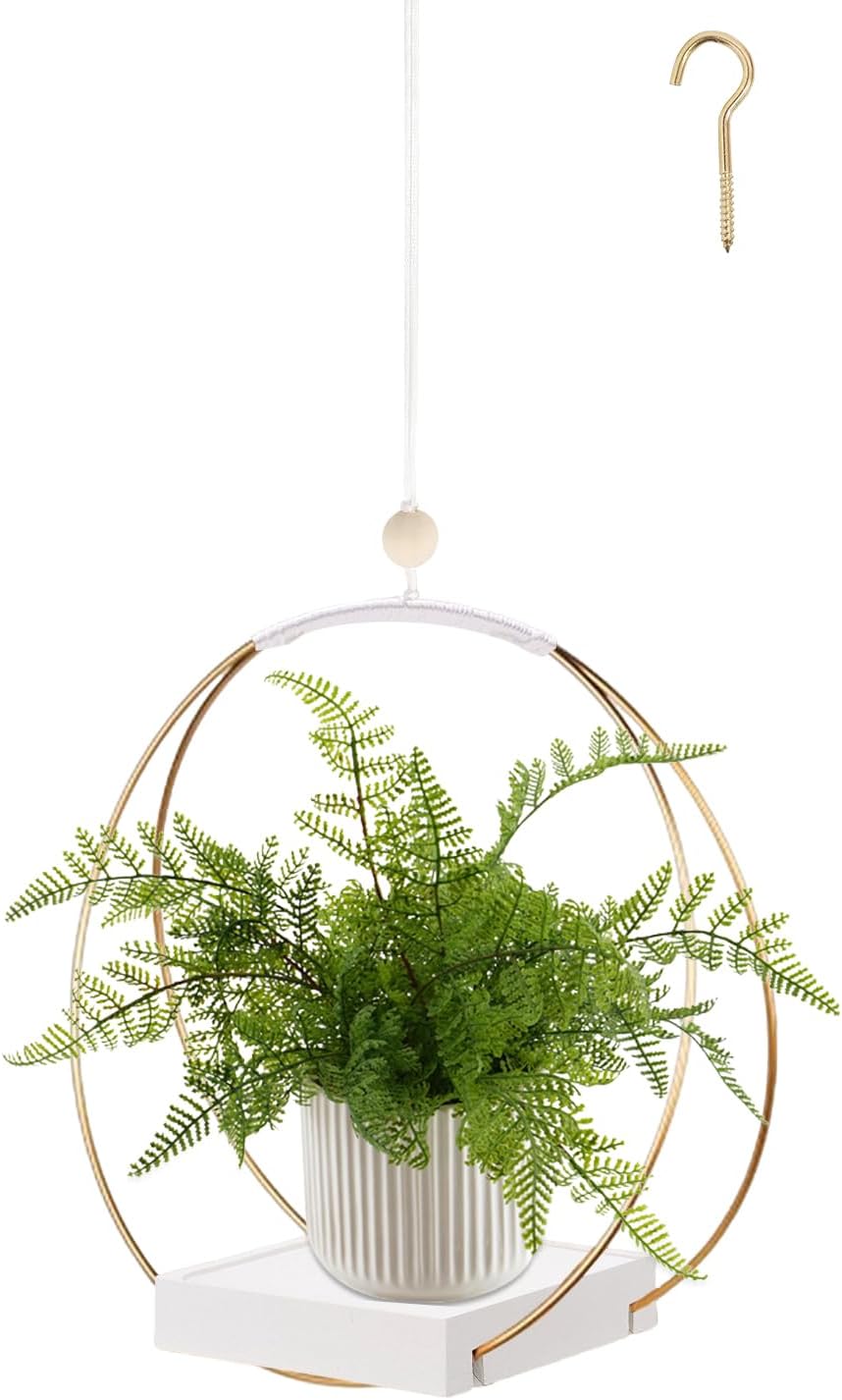 Hanging Planter for Indoor Plants, Black Plant Hanger Indoor with Sturdy Wood Base, Modern Boho Macrame Plant Hanger for 3-5.5 Inch Pot, Hanging Wall Ceiling Window Home Decor (Pots Not Included)