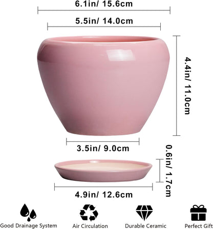 Ceramic Modern Glaze Succulent Planter Pot with Drainage Hole and Saucer 6 Inch Round Flower Plant Pot for Indoor Outdoor Herb Snake Plants