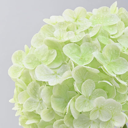 MARTINE MALL 3Pcs 21in Hydrangea Artificial Flowers, Latex Real Touch Hydrangeas Lifelike Large Hydrangea Flowers for Home Decor Party Arrangements Wedding Bouquets Centerpieces (Blue)