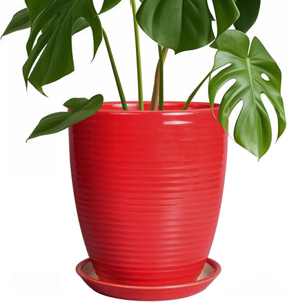 Ceramic Pots for Plants - 6 Inch Plant Pot with Drainage Hole and Saucer, Round Planters for Indoor Outdoor, Flower Pots, Modern Planter, Home Office Room Decor, Gifts for Plant Lovers, White