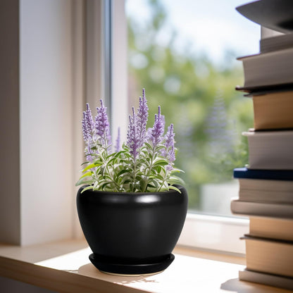 Ceramic Modern Glaze Succulent Planter Pot with Drainage Hole and Saucer 6 Inch Round Flower Plant Pot for Indoor Outdoor Herb Snake Plants