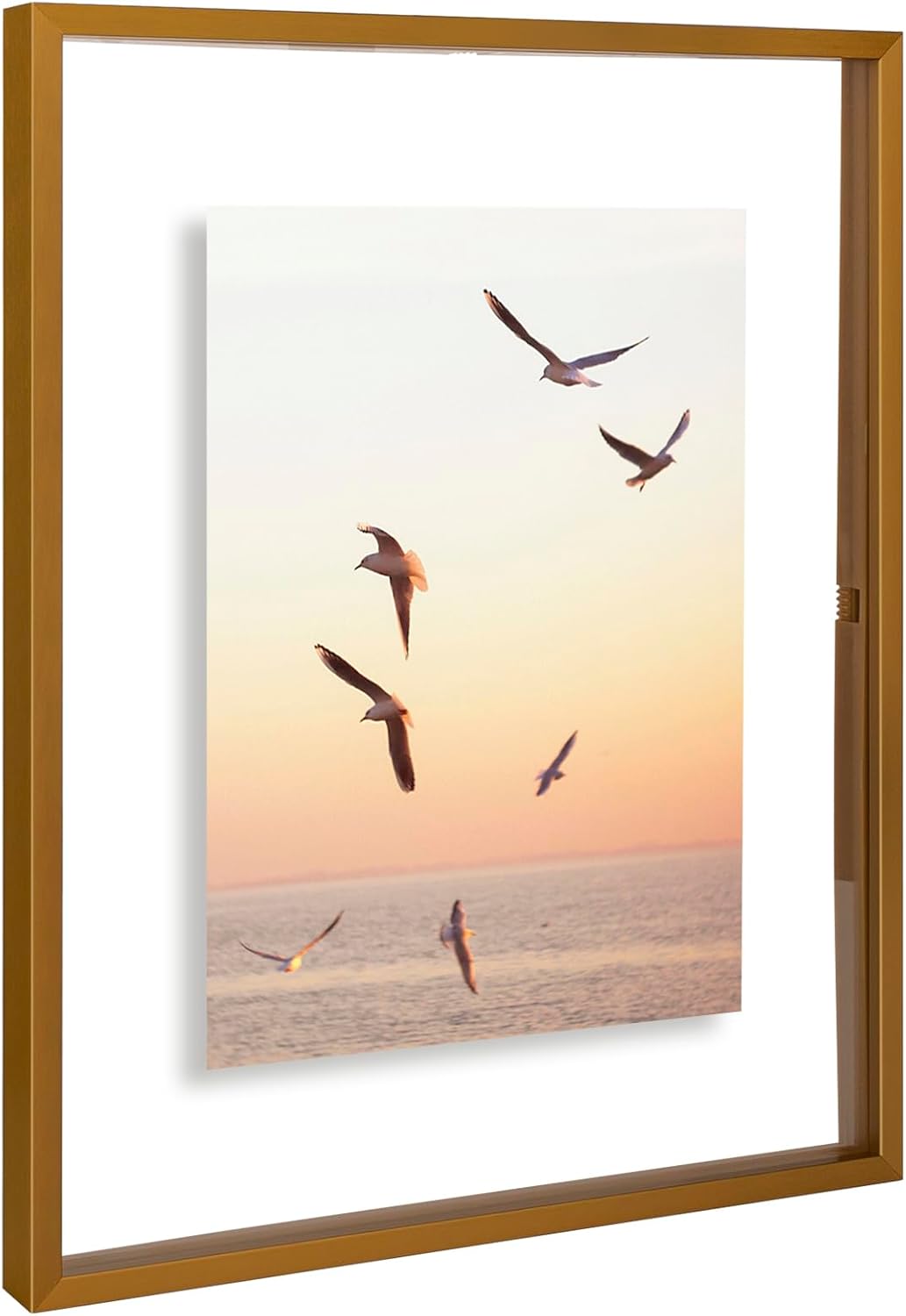 Frametory, Floating Picture Frame 12x16 - Black Aluminum Metal Photo Frame - Real Glass of Front - for Wall Mount Display