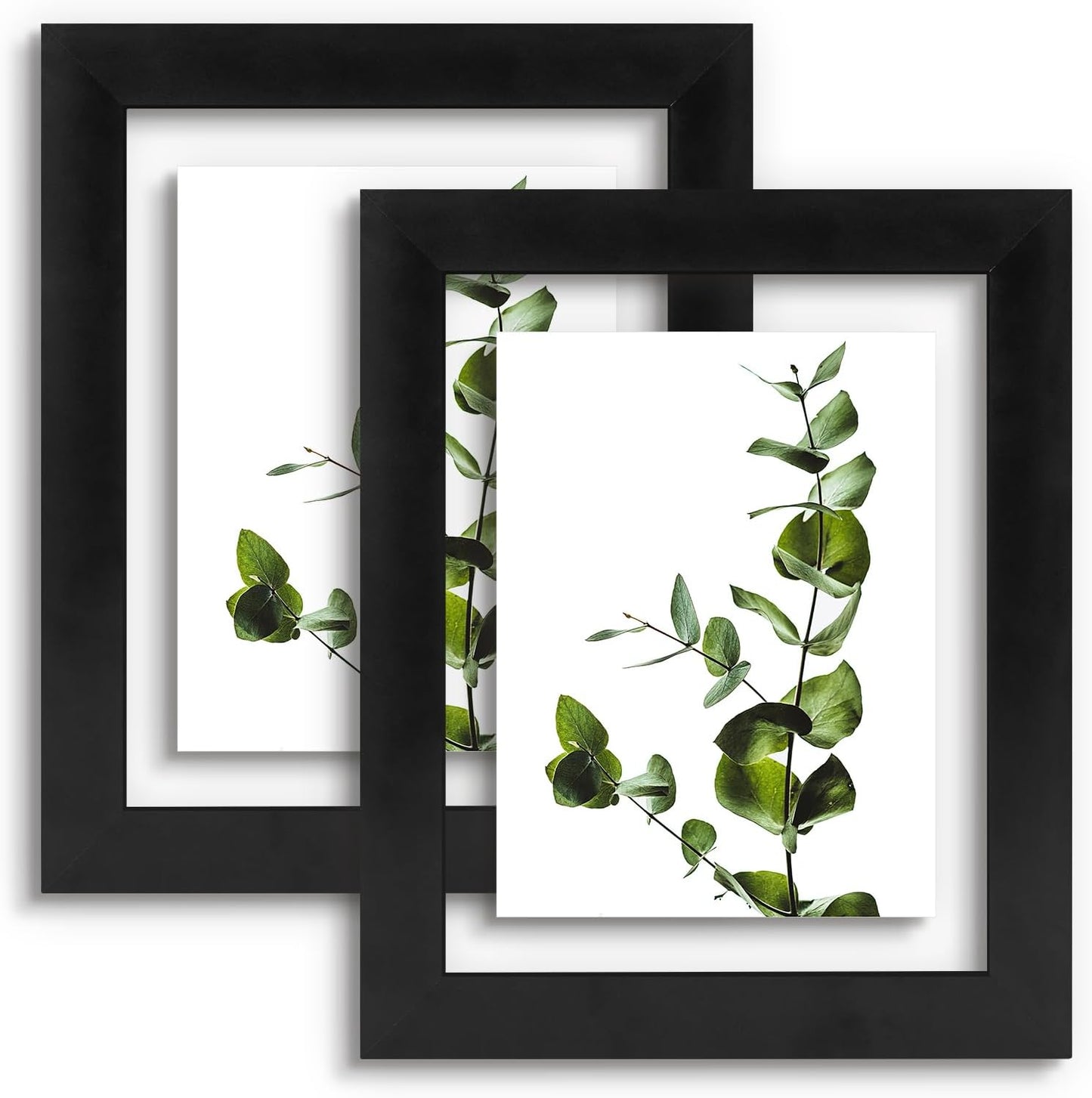 Golden State Art, 11X14 Floating Picture Frame, Black Wood Frame Display Any Size Photo Up To 11X14, Pressed Flower Frames with Hanging Hardware - Horizontal And Vertical Formats for Wall